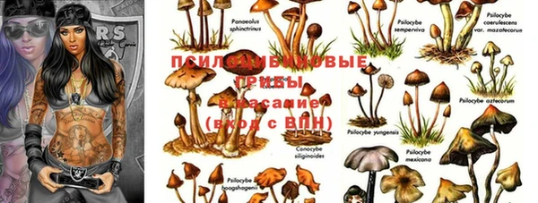spice Нефтегорск