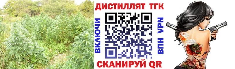 как найти закладки  Навашино  ТГК THC oil 