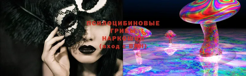 Галлюциногенные грибы MAGIC MUSHROOMS  OMG маркетплейс  darknet как зайти  Навашино 